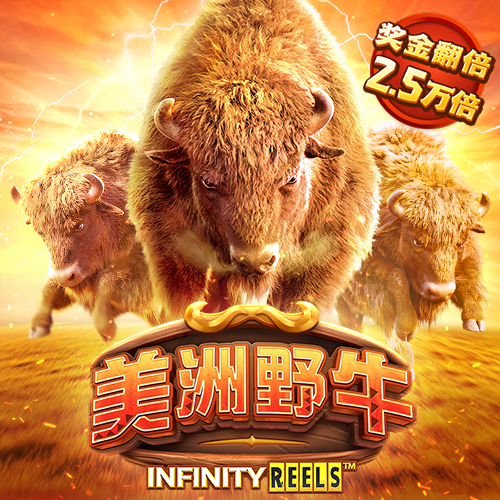 7755彩票网官方版app下载